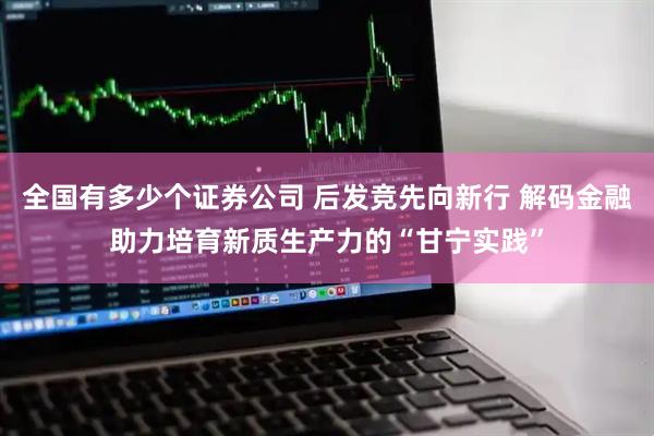 全国有多少个证券公司 后发竞先向新行 解码金融助力培育新质生产力的“甘宁实践”