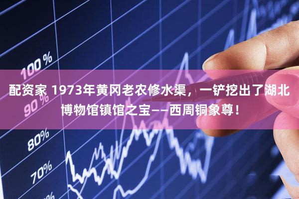 配资家 1973年黄冈老农修水渠，一铲挖出了湖北博物馆镇馆之宝——西周铜象尊！